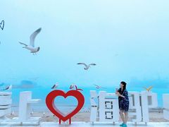 -海驴岛(荣成市)