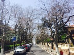 iphone_upload_pic-八大关景区