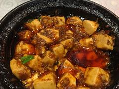 -陈麻婆豆腐总店