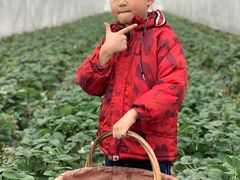 -小鱼草莓采摘园农家乐·小鱼餐厅