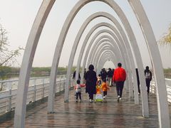 -大兴滨河森林公园