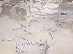 -洛阳周王城天子驾六博物馆