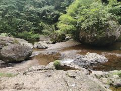 -龙苍沟森林公园