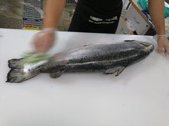 -渔人湾码头海鲜市场负二楼