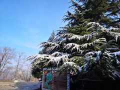 -抱犊寨风景区