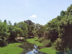 -白鹭湾湿地公园