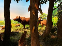 -国家自然博物馆