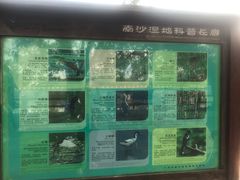 -大湾区中央湿地公园