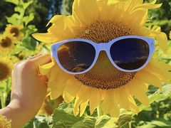 -长春公园(普阳街道)