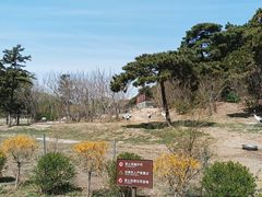 -沈阳森林动物园