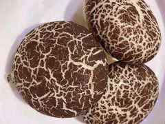 -雅和生态渔庄·宜城锅巴饭(龙灵山公园店)