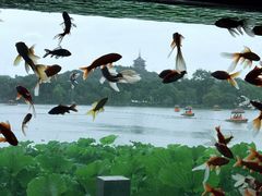 -鼓楼(西湖风景名胜区)