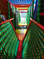 -爱丽丝奇幻乐园