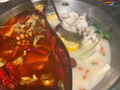 -麻田会 ·鲜活现烹·牛蛙火锅(珠江新城维家思广场店)