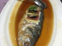 -宝燕壹号(徐汇店)