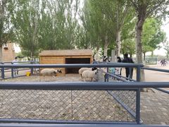 -长白岛森林公园