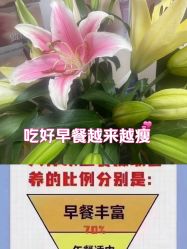 -瘦立方身材管理中心