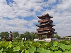 -白洋淀景区