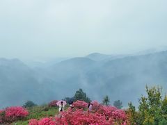 -木兰云雾山