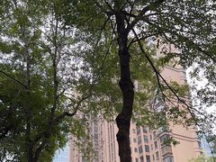-Brut Eatery悦璞食堂(愚园路店)