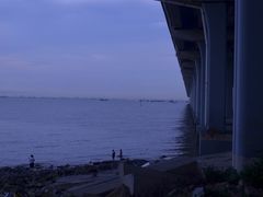 -宝安西湾红树林湿地公园