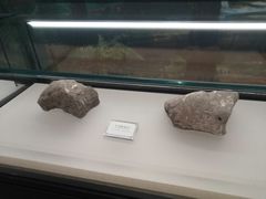 -辽宁古生物博物馆