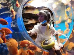 -芜湖新华联大白鲸海洋公园