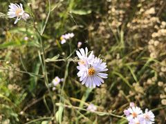 -天津东丽湖风景区