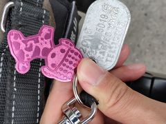 -宠颐生中康贝怡动物医院