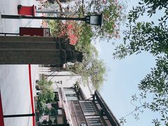 -成都市文殊院