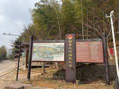 -宁波浙东大竹海景区