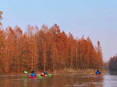 -上海海湾国家森林公园