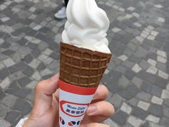 -富豪雪糕车流动点(尖沙咀店)