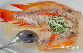 Salt and Oil Steamed Red Snapper