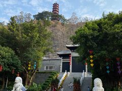 -南沙蒲洲花园