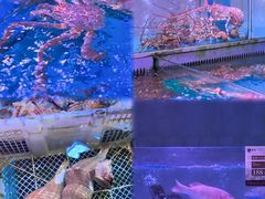 -金成潮菜博物馆(海珠湿地店)