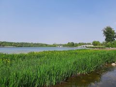 景点-南海子公园