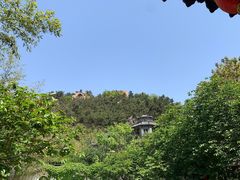 -老张烤羊(王哥庄店)