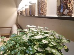 -常乐·对症推拿(嘉里中心第132分店)