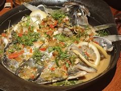 啫啫海鲈鱼-SHAN山(前滩太古里店)