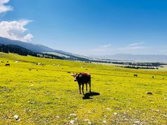 -新疆那拉提国家旅游度假区