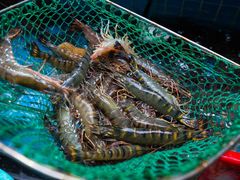 -海大大蒸汽海鲜餐厅·粤菜·特色小炒(欢乐颂店)