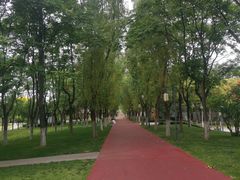 -咸阳湖景区-古渡公园