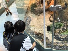 -上海大自然野生昆虫馆(东方明珠·爬宠昆虫探索中心)