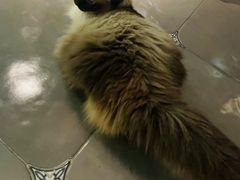 -Estaeslavida分享茄雪茄吧(亿彩购物中心店)