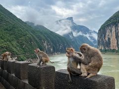 -白帝城·瞿塘峡景区