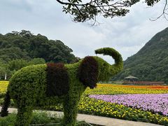 -广州市石门国家森林公园