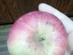 -百果园(奕淳公寓店)