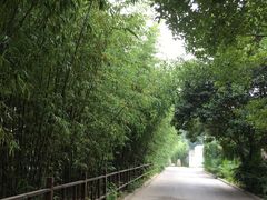 -河南省黄河迎宾馆