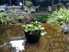 -王家渡火锅(三苏祠店)